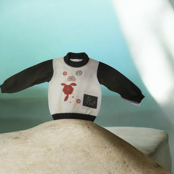 Suéter Bordado para Niños                           (c24)
