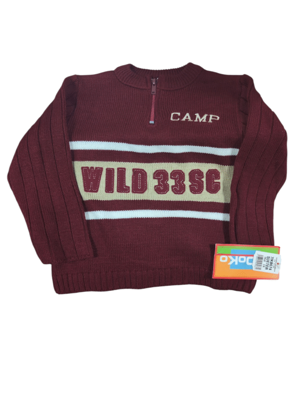 IMG_1832591687413004444 Suéter Niño Elegante (c24)